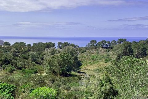 Tiny photo for 13621 Mercado Dr, Del Mar, CA 92014 (MLS # 250042604)