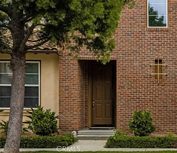 235 Tall Oak