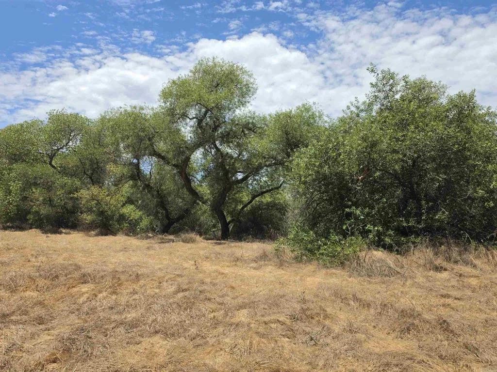 Photo of 1 Durgin Street, Ramona, CA 92065 (MLS # NDP2607342)
