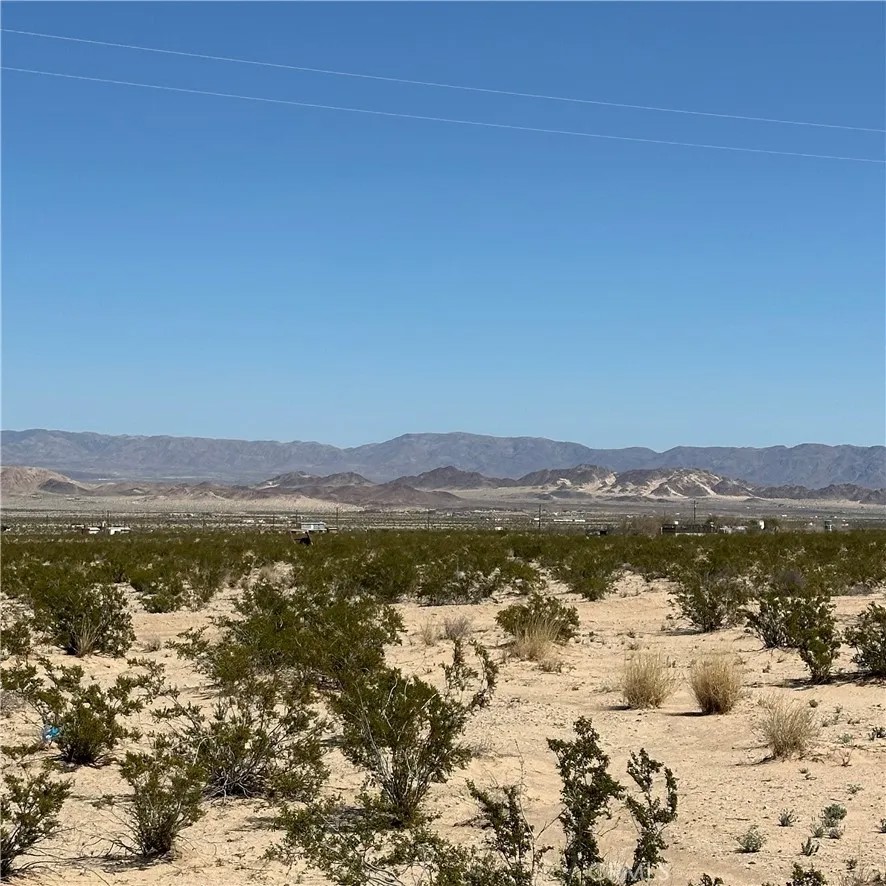 1234 El Paseo