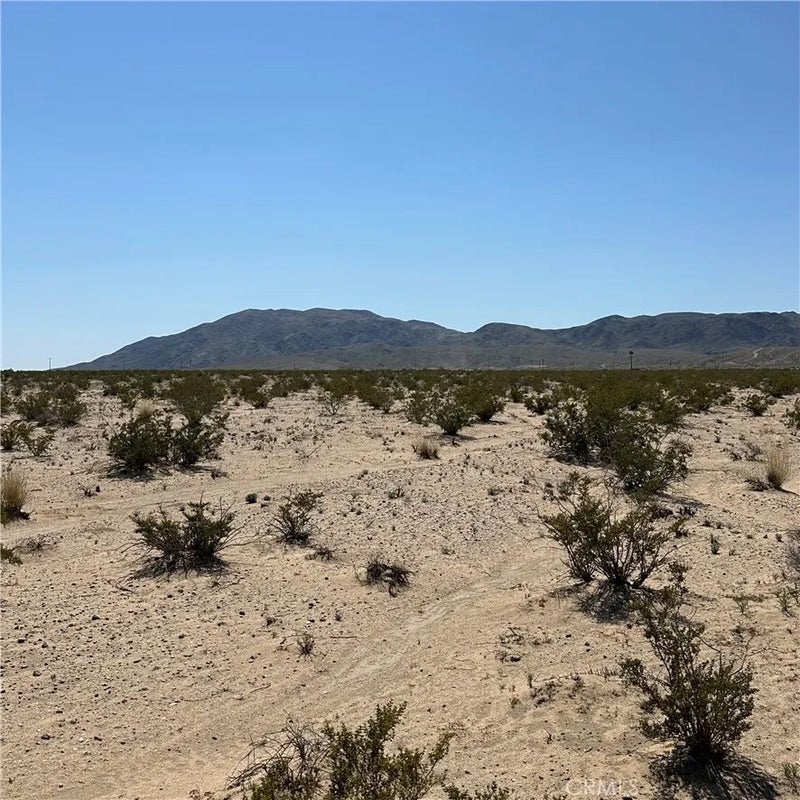1234 El Paseo