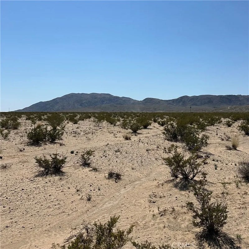 1234 El Paseo