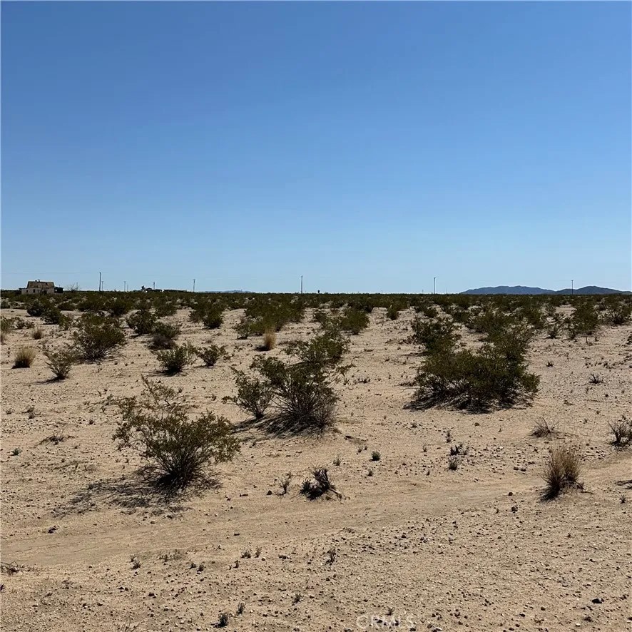 1234 El Paseo