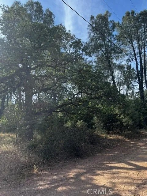 14335 Noble Ranch