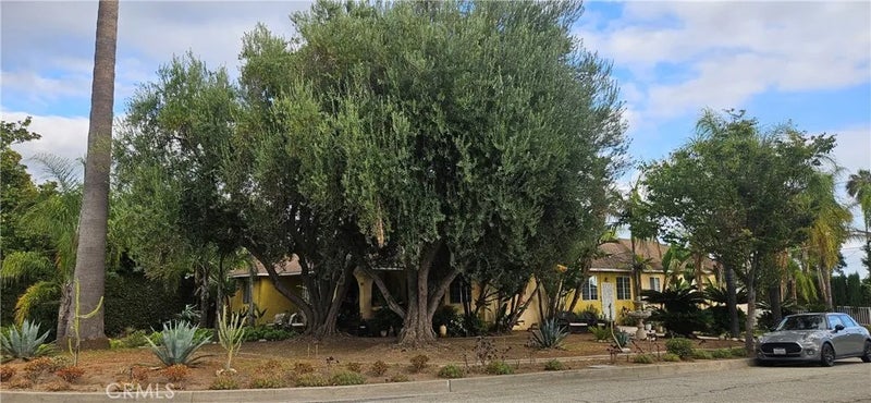 3560 Fairmeade