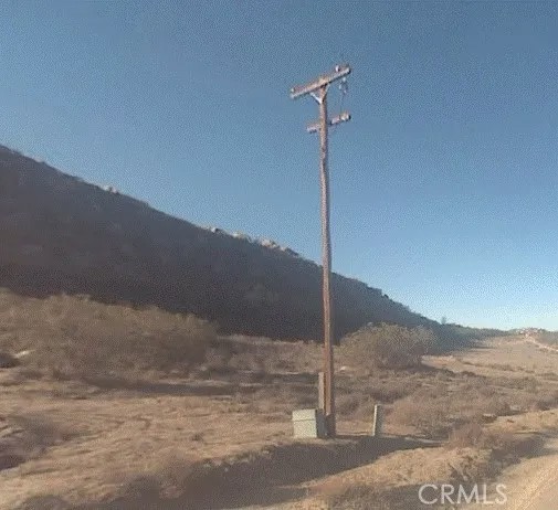 0 Deerspring