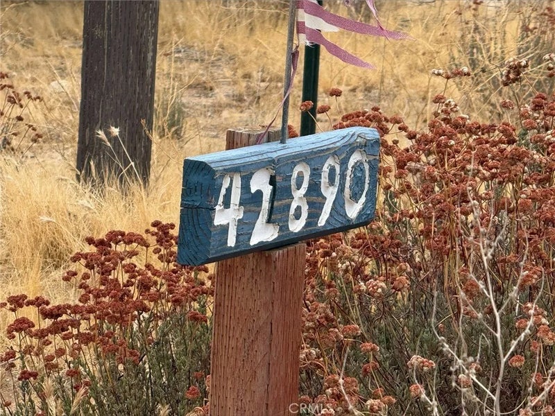 42890 tamatea