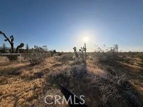 Photo of 0 Mountain Rd,, Pinon Hills, CA 92372 (MLS # HD26125920)