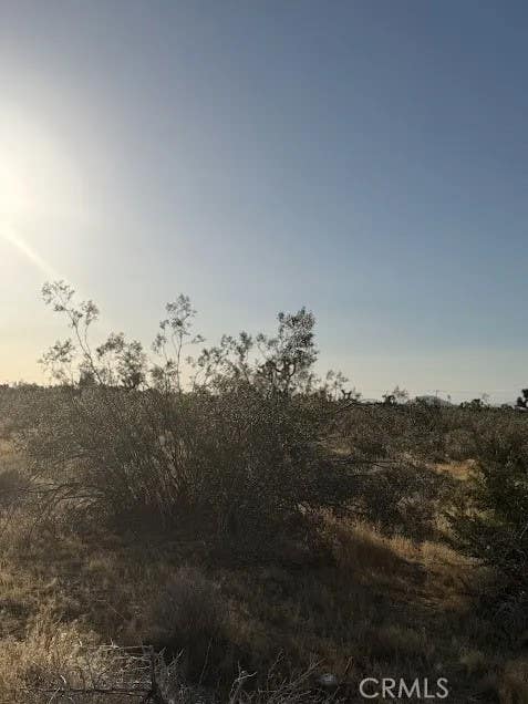 Photo of 0 Mountain Rd,, Pinon Hills, CA 92372 (MLS # HD26125920)
