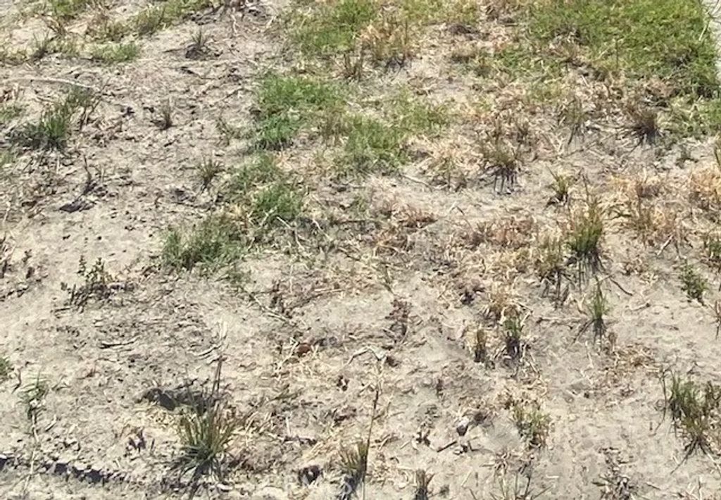 Photo of 1 A, Ridgecrest, CA 93555 (MLS # PW26078252)