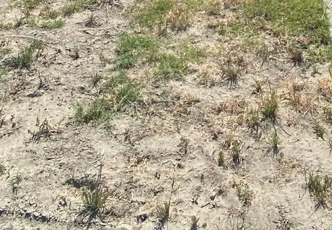 1 A Ridgecrest CA 93555