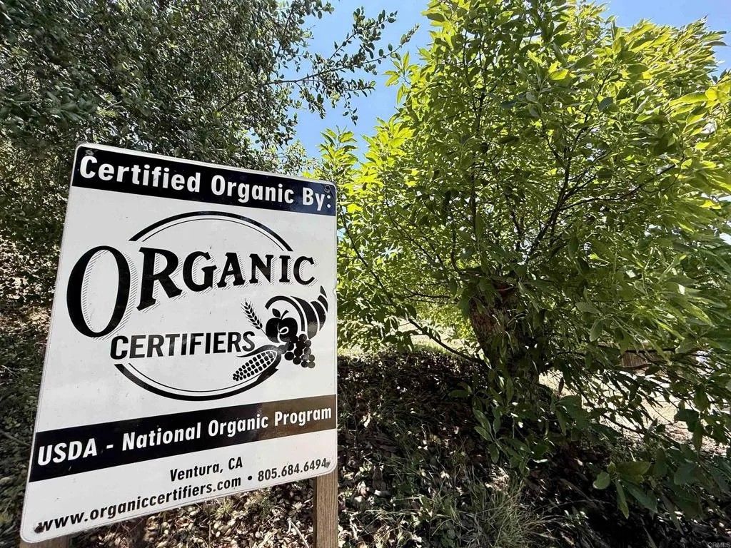 Photo of 3160 Slivkoff Dr, Escondido, CA 92027 (MLS # NDP2507536)