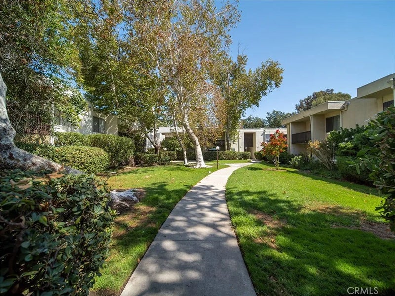 23515 Lyons 261