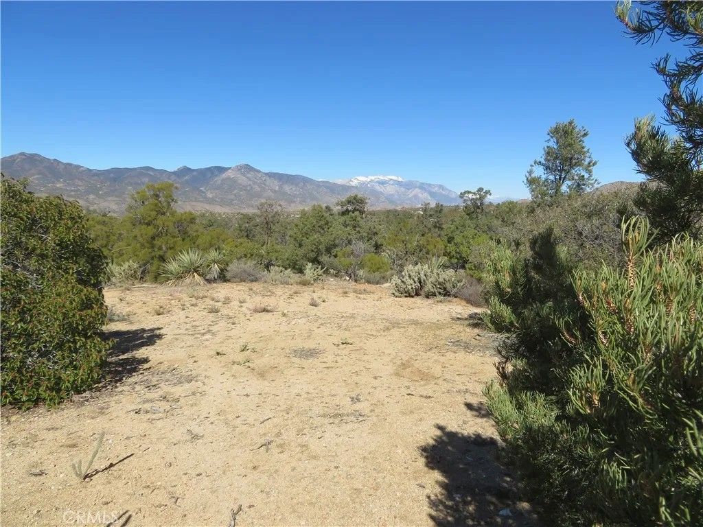 Photo of 155 Lot #155 Buckthorn, Mountain Center, CA 92561 (MLS # SW26017824)