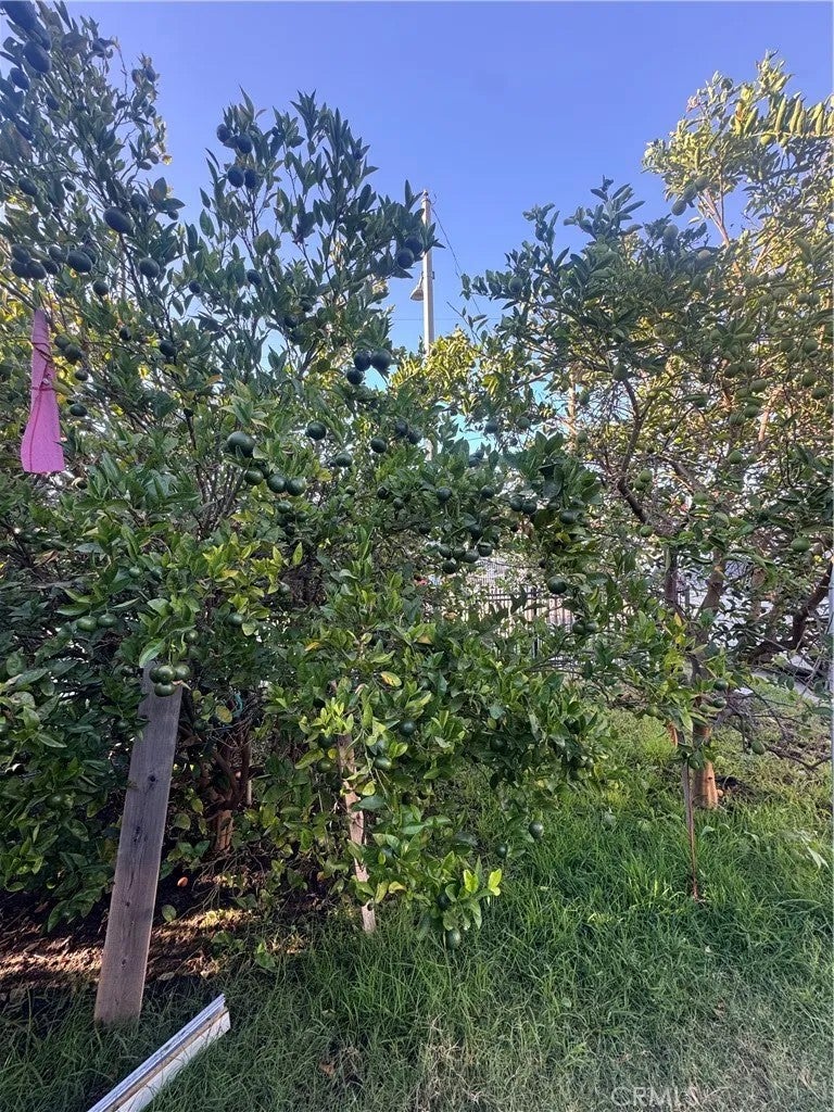 3612 W 113th