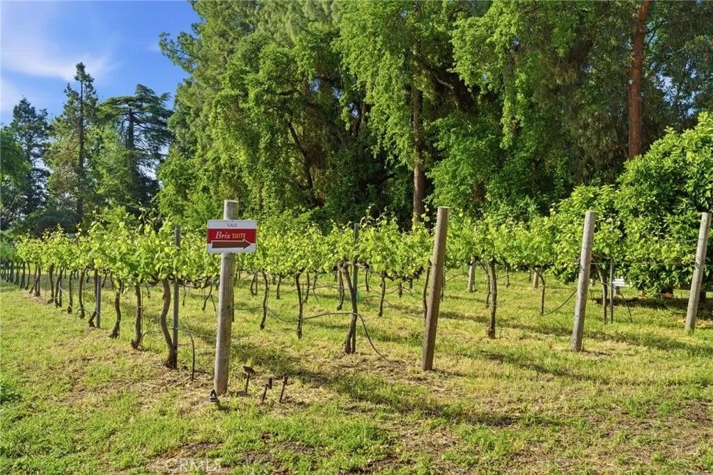 Photo of 9343 Stanford Lane, Durham, CA 95938 (MLS # SN26085335)