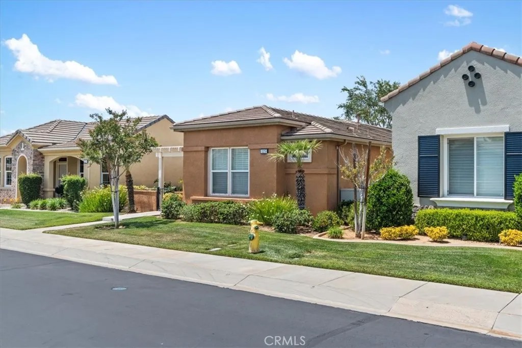 125 Thistle