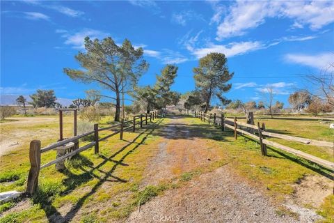 Tiny photo for 4329 Amador Rd, Phelan, CA 92371 (MLS # CV26033090)