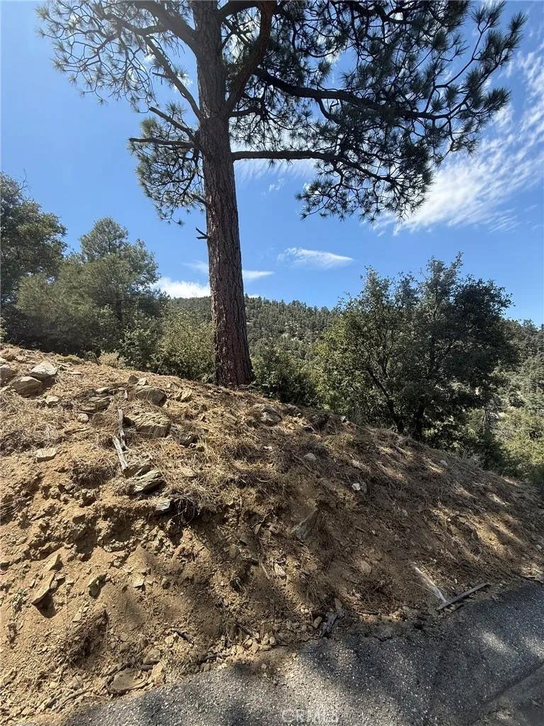 Photo of 1525 Banff Dr, Pine Mountain Club, CA 93222 (MLS # SR26186529)
