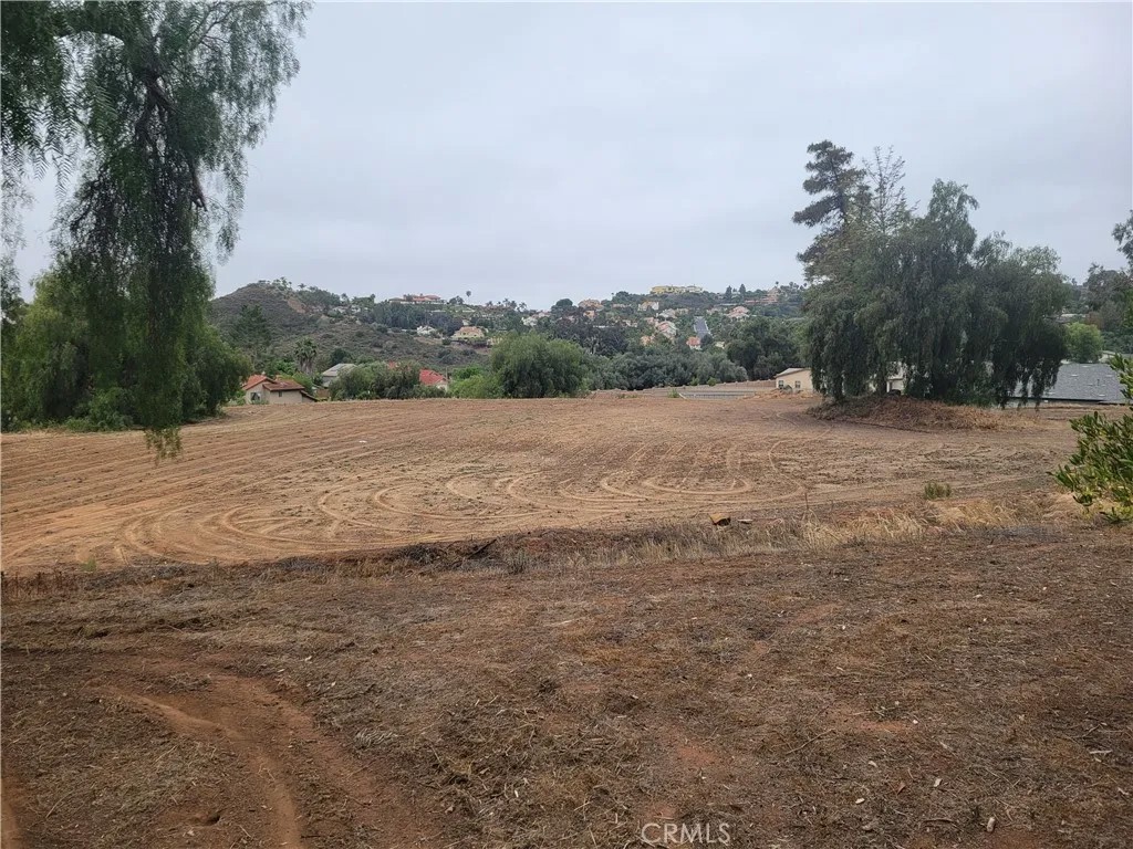 1819 Monte Vista