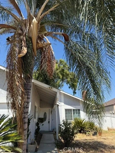 6864 Olympia DR