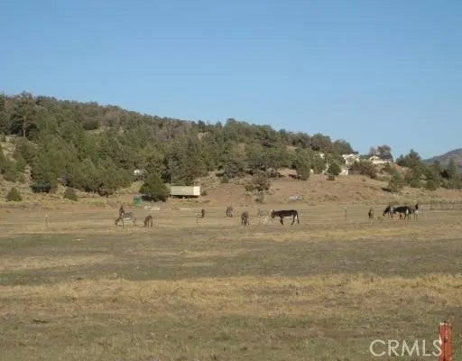 2151 Erwin Ranch