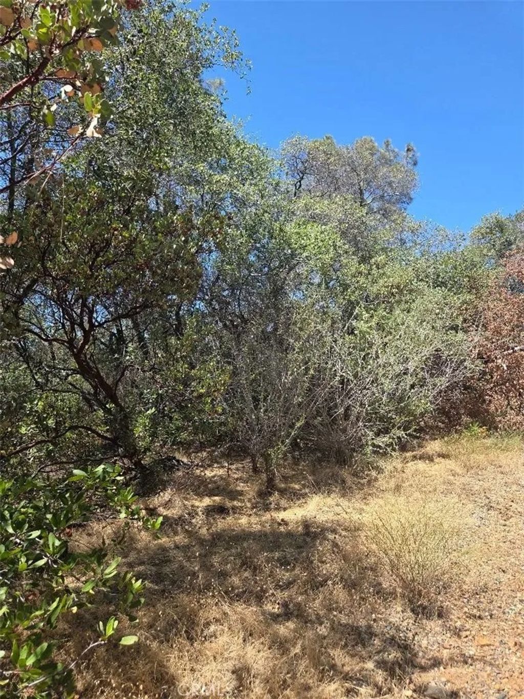 Photo of 0 Roemelt, Oroville, CA 95966 (MLS # OR26147947)
