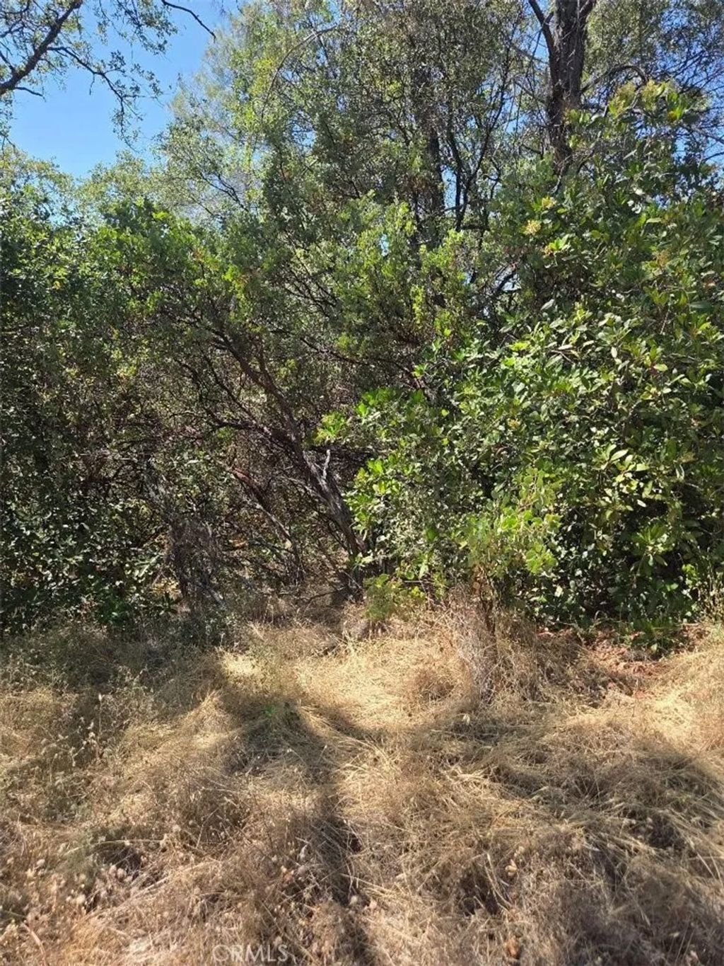 Photo of 0 Roemelt, Oroville, CA 95966 (MLS # OR26147947)