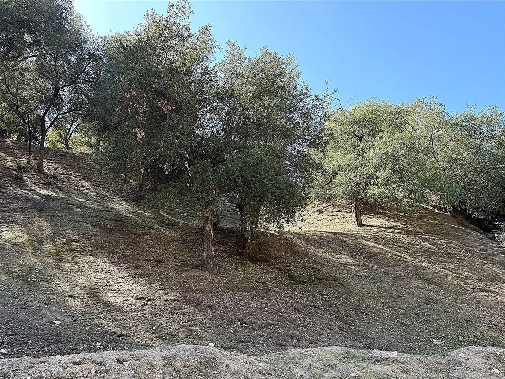 0 High Cliff Trail
