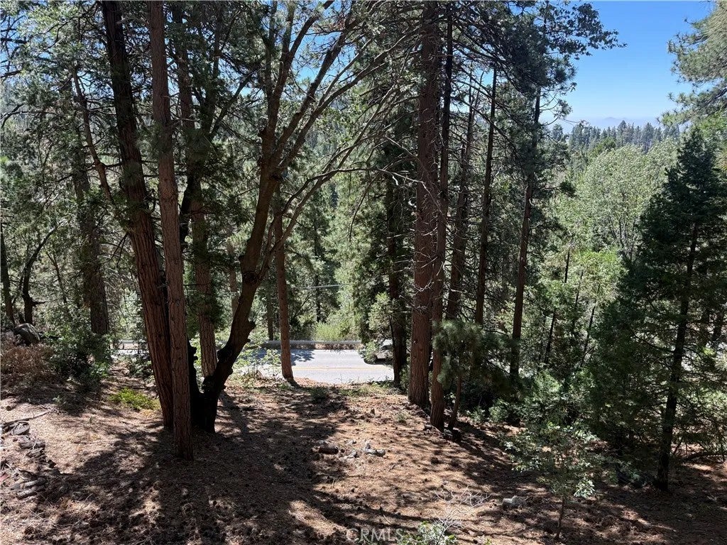 32375 Scandia Dr