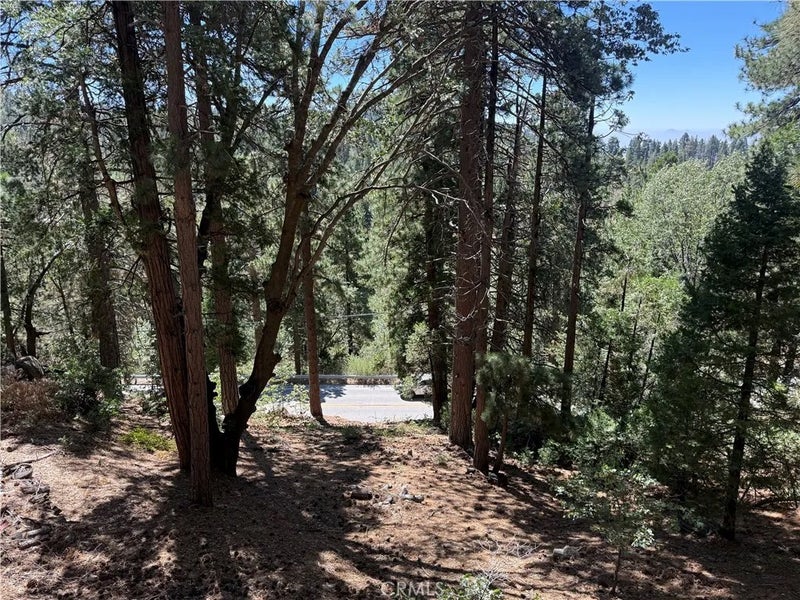 32375 Scandia Dr