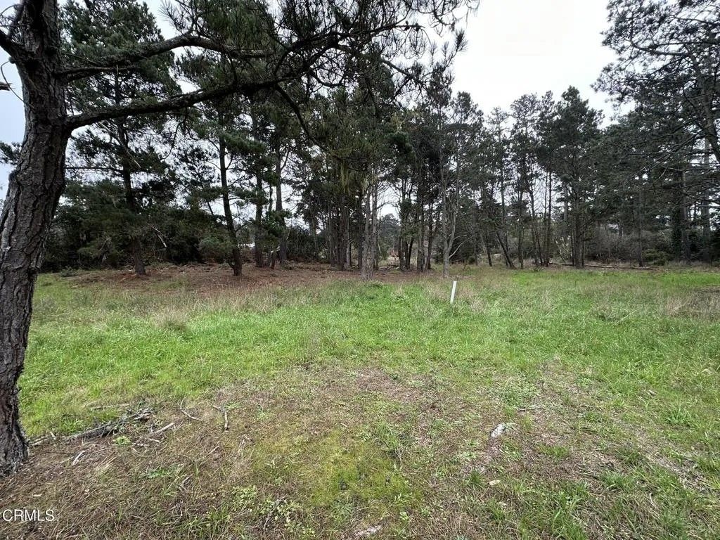Photo of 32875 Simpson Ln, Fort Bragg, CA 95437 (MLS # C1-11235)