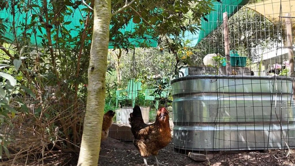 Photo of 9237 Harmony Grove, Escondido, CA 92029 (MLS # NDP2602724)