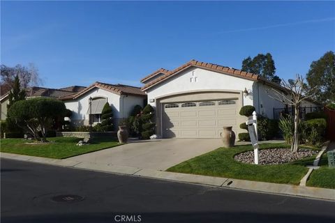 Photo of 8174 Maruyama Drive, Hemet, CA 92545 (MLS # SW26050466)