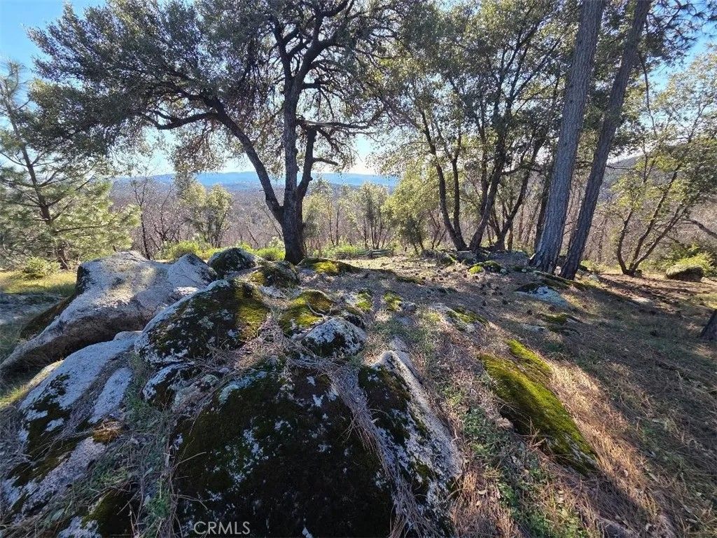 Photo of 374 Jatko Rd, Berry Creek, CA 95916 (MLS # OR26012676)