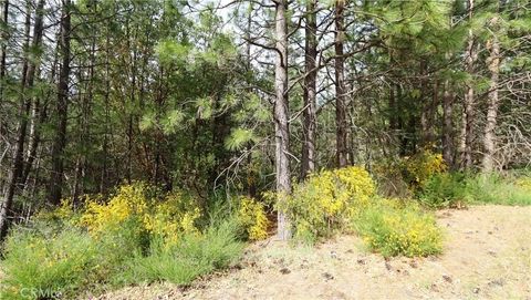 9072 Fox Cobb CA 95426