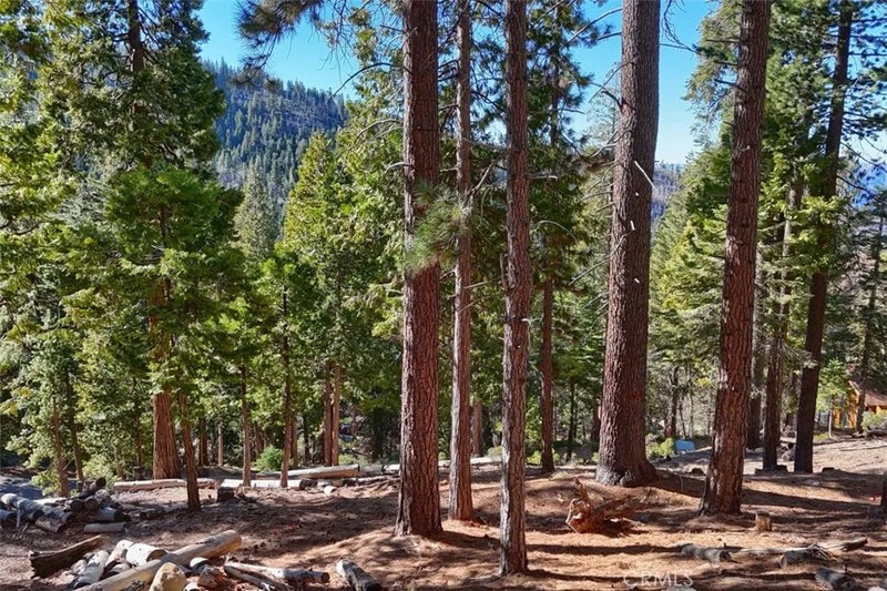 7349 Yosemite Park