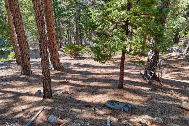 7349 Yosemite Park