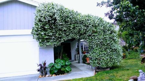 4777 Crooked Creek Ct. San Diego CA 92113