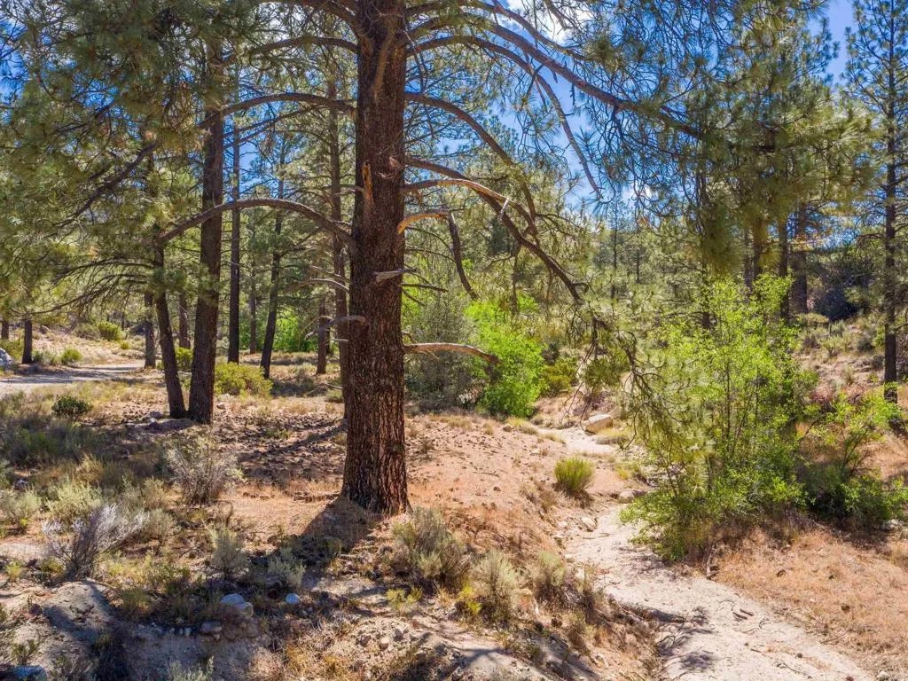 60833 Table Mountain Rd