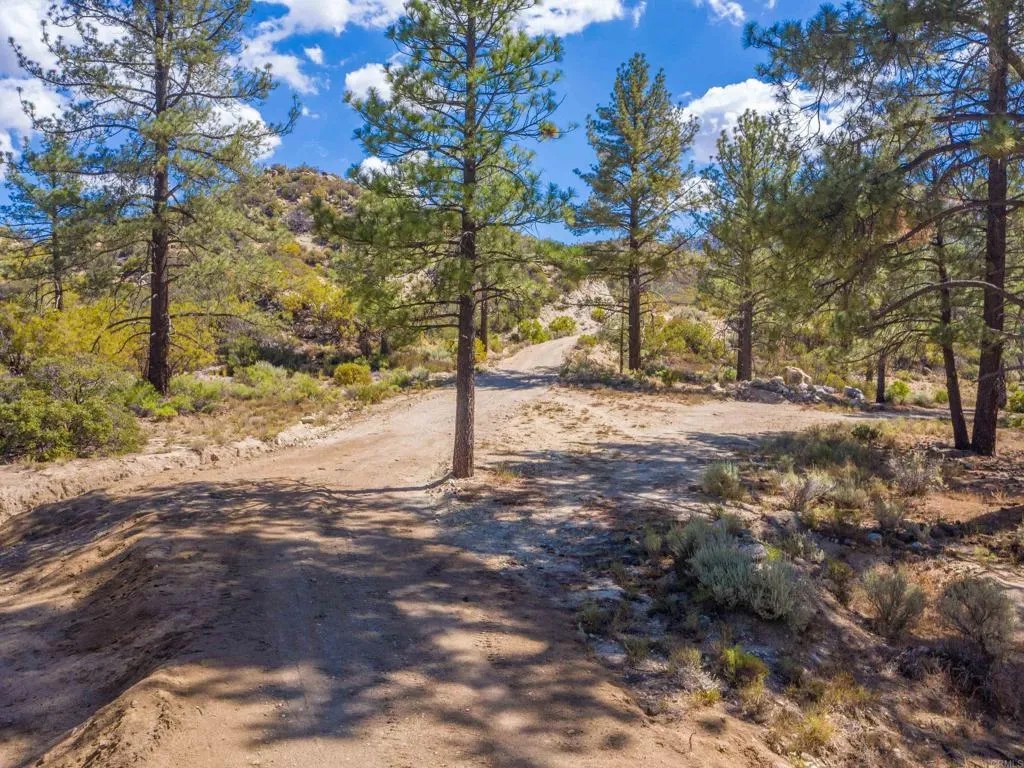 60833 Table Mountain Rd