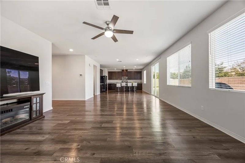 29338 Sword Fern