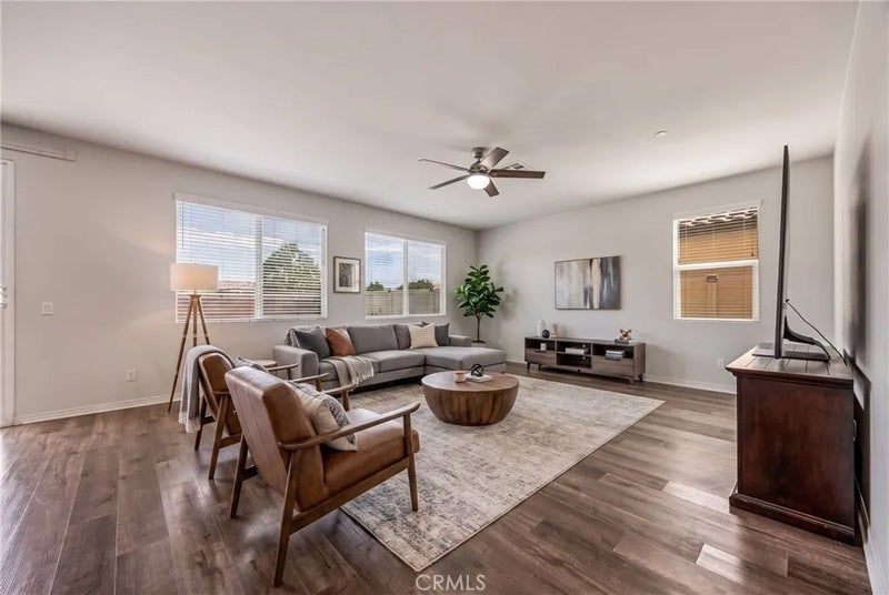 29338 Sword Fern