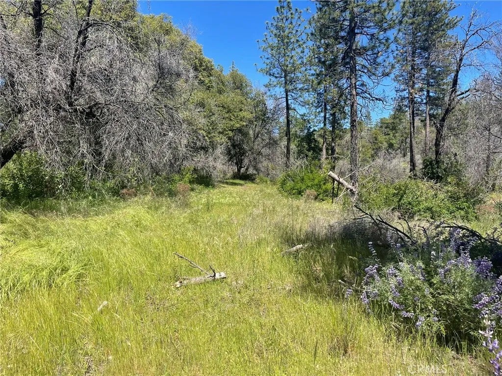 Photo of 0 Lumpkin, Feather Falls, CA 95966 (MLS # OR26230402)