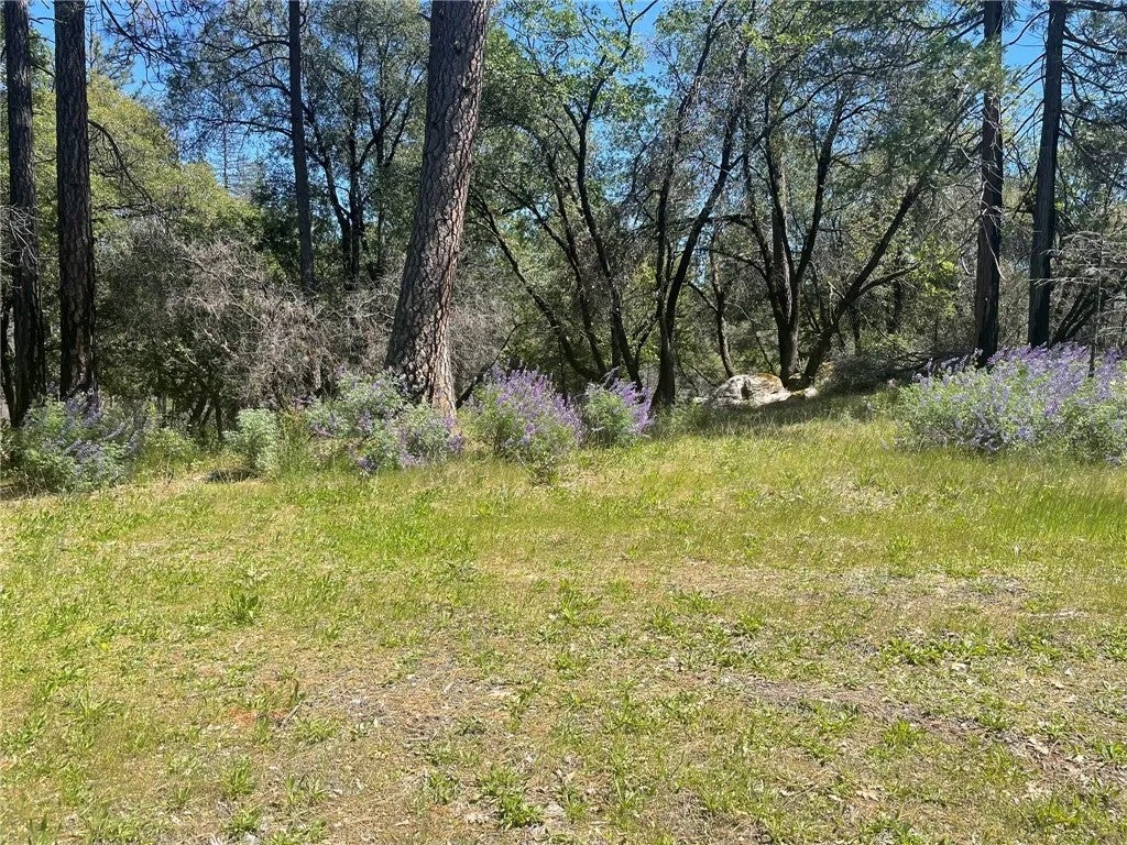 Photo of 0 Lumpkin, Feather Falls, CA 95966 (MLS # OR26230402)