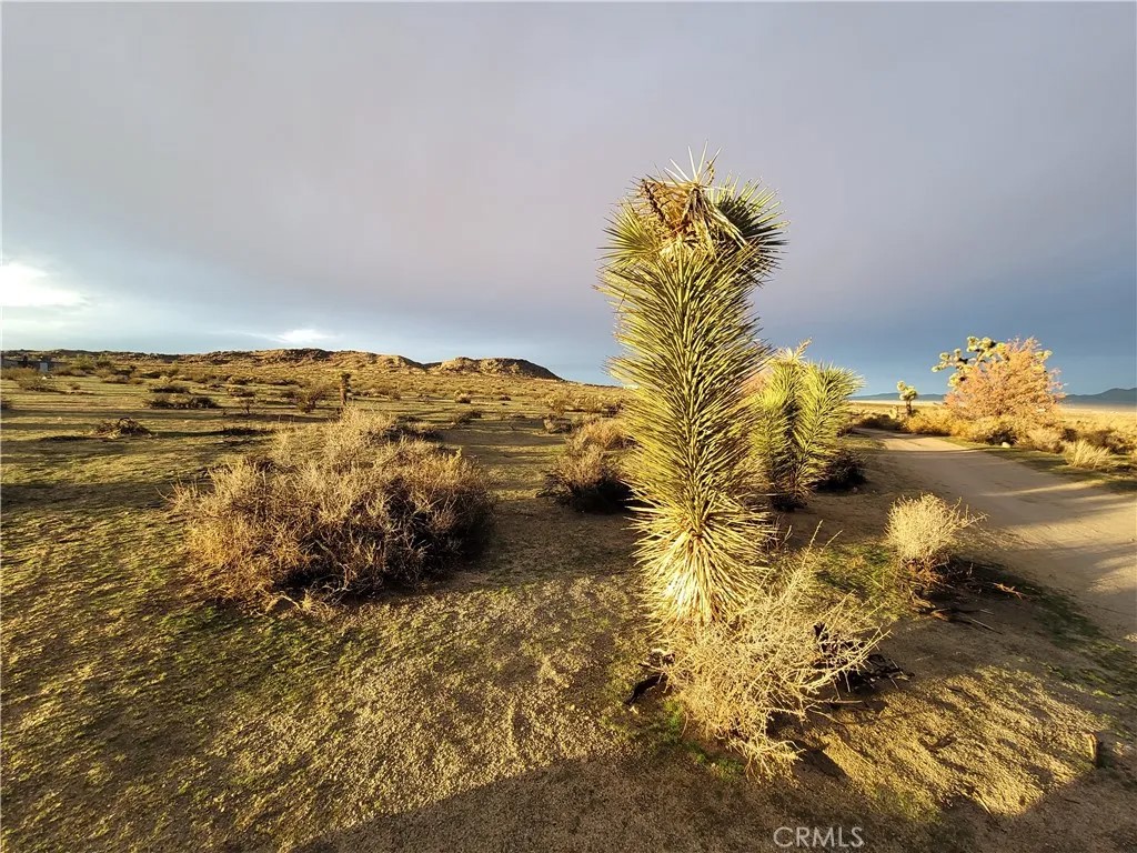 195 Old El Mirage Road