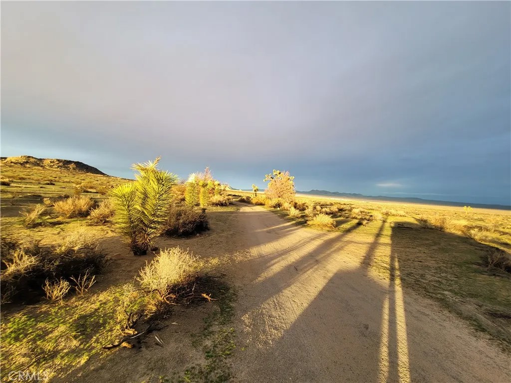 195 Old El Mirage Road