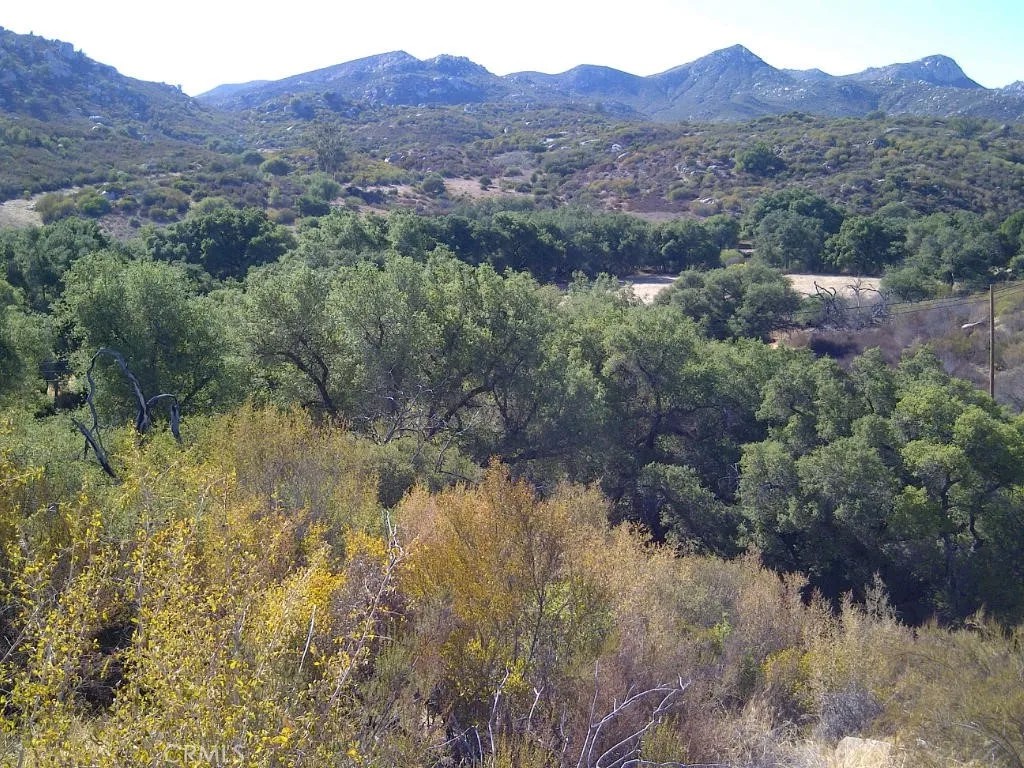 14469 Mussey Grade