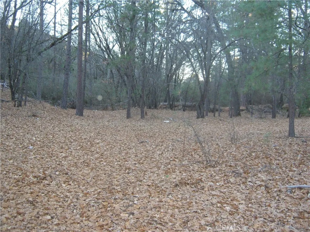9000 S State Highway 29