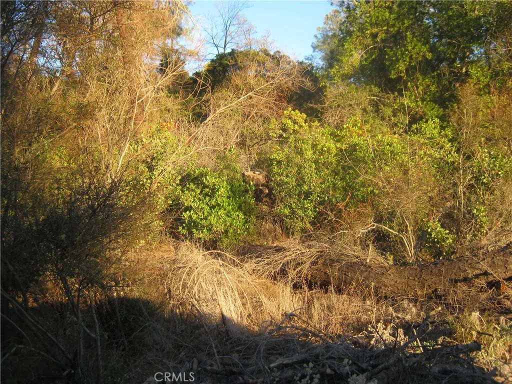 9000 S State Highway 29
